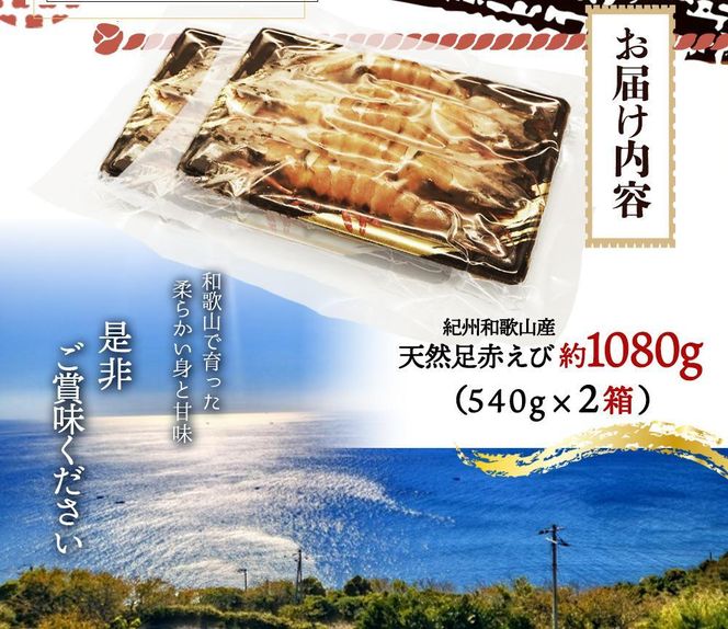 紀州和歌山産天然足赤えび540g×2箱（270g×4パック）　化粧箱入【2025年11月末頃から2026年2月上旬頃に順次発送】【UT24】 303446_XF91081