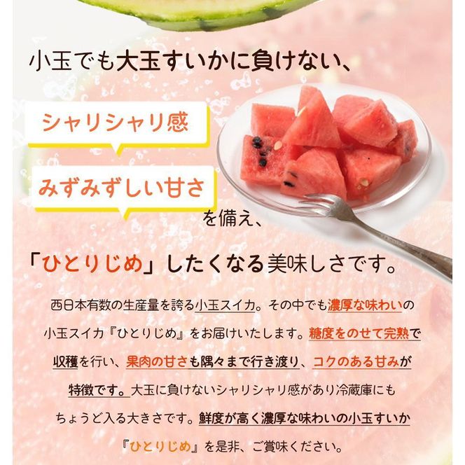 紀州和歌山産 小玉スイカ「ひとりじめ」 1玉【2026年6月中旬頃～2026年7月上旬頃に順次発送】【UT85】 303446_XF91087