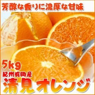 【2・4・6・8・10・12月 偶数月発送 全6回】和歌山産 旬のフルーツ お楽しみ 定期便 【魚鶴商店】【UT113】 303446_XF91096