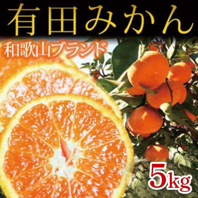 【2・4・6・8・10・12月 偶数月発送 全6回】和歌山産 旬のフルーツ お楽しみ 定期便 【魚鶴商店】【UT113】 303446_XF91096