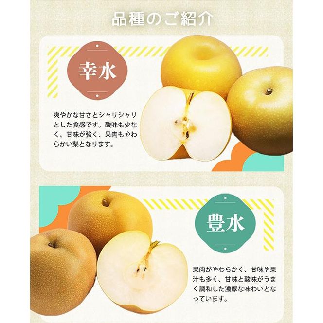 梨 3玉 化粧箱入 紀州和歌山 かつらぎ産［2026年8月中旬以降発送予定］［UT98］ 303446_XF91106