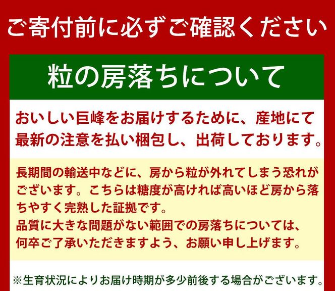 巨峰ぶどう約2kg　紀州和歌山産【2025年8月下旬以降発送予定】【UT88】 303446_XF91111