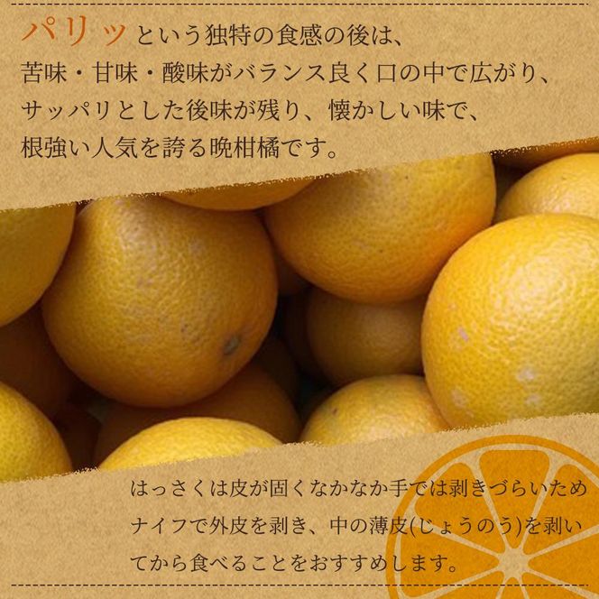 八朔（はっさく）約10kg　紀州和歌山 かつらぎ産【2025年2月上旬頃～2025年2月下旬頃に順次発送】【UT19】 303446_XF91112