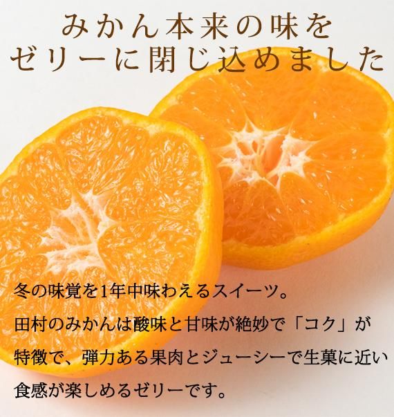 紀州和歌山まるごとみかんゼリー 145g×6個 化粧箱入【2024年10月1日より発送予定】【UT27】 303446_XF91123