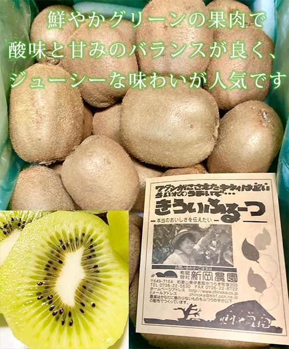 紀州かつらぎ山のキウイフルーツ約3kg【発送予定時期：2025年1月10日〜2025年2月10日】【UT29】 303446_XF91125