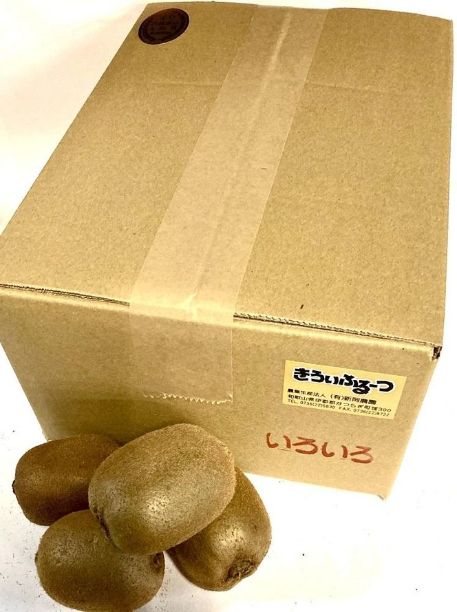 紀州かつらぎ山のキウイフルーツ約3kg［2026年1月中旬以降発送予定］［UT29］ 303446_XF91125