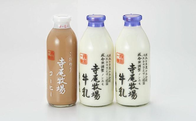 寺尾牧場のこだわり濃厚牛乳（ノンホモ牛乳）2本とコーヒー1本の合計3本セット 303446_XH003