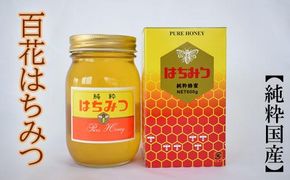 ［純粋国産］和歌山県産百花はちみつ600g★2026年7月下旬発送［TM56］ 303446_XH004