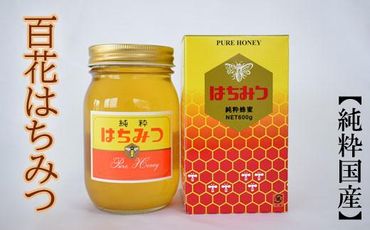 【純粋国産】和歌山県産百花はちみつ600g★2025年1月下旬発送【TM56】 303446_XH004