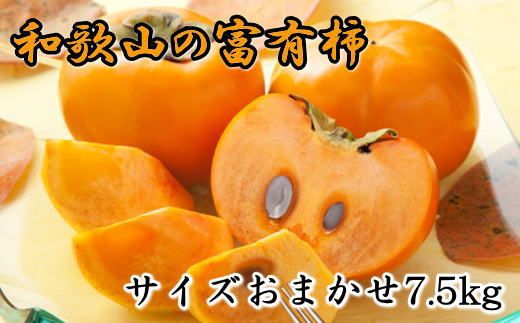  [甘柿の王様]和歌山産富有柿　約7.5kg サイズおまかせ★2024年11月上旬頃より順次発送【TM5】 303446_XH011