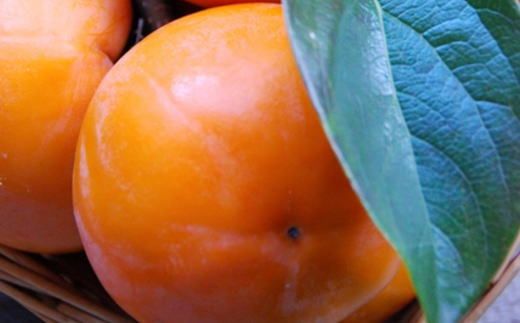 [甘柿の王様]和歌山産富有柿　約7.5kg サイズおまかせ★2026年11月中旬頃より順次発送［TM5］ 303446_XH011