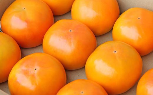 [甘柿の王様]和歌山産富有柿　約7.5kg サイズおまかせ★2026年11月中旬頃より順次発送［TM5］ 303446_XH011