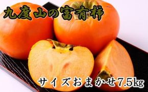 ≪柿の名産地≫九度山の富有柿約7.5kgサイズおまかせ★2025年11月上旬頃より順次発送【TM2】 303446_XH012