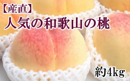 【産直・人気の特産品】和歌山の桃　約4kg・秀選品★2025年6月下旬～8月上旬頃順次発送★【TM168】 303446_XH021