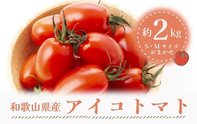 【1月出荷分】和歌山産ミニトマト「アイコトマト」約2kg（S・Mサイズおまかせ）【TM109】 303446_XH022