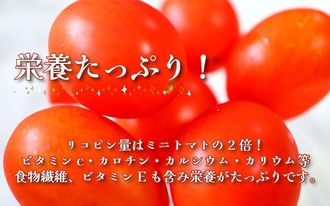 【2025年4月出荷分】和歌山産ミニトマト「アイコトマト」約2kg（S・Mサイズおまかせ）【TM140】 303446_XH025