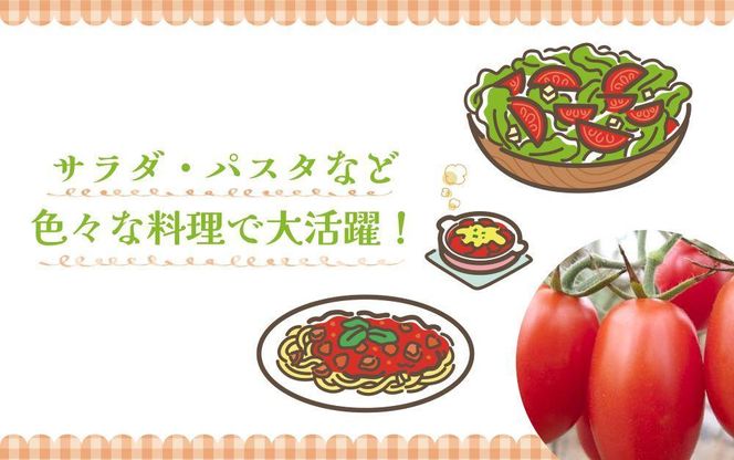 【2025年4月出荷分】和歌山産ミニトマト「アイコトマト」約2kg（S・Mサイズおまかせ）【TM140】 303446_XH025