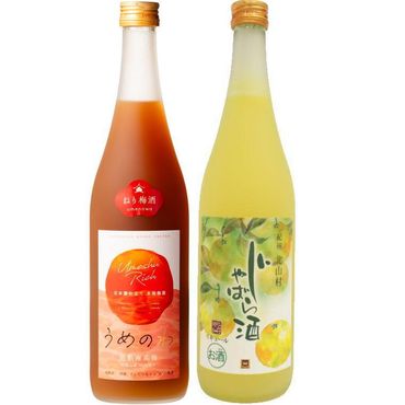 「紀州完熟南高梅・ねりうめ酒」と「じゃばら酒」720ml  各1本【TM17】 303446_XH038