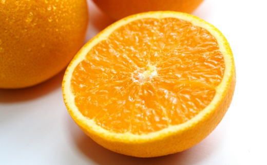 ［濃厚］有田産清見オレンジ約5kg（サイズおまかせ・青秀以上）★2026年2月下旬頃より順次発送［TM43］ 303446_XH049