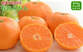 [秀品]和歌山有田みかん約5kg(SまたはMサイズ) ★2024年11月中旬頃より順次発送【TM97】 303446_XH062