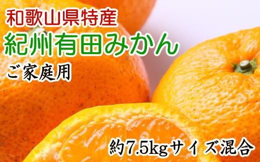 和歌山有田みかん7.5kg ご家庭用 (サイズ混合) ★2024年11月中旬頃より順次発送【TM103】 303446_XH064