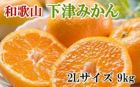 【産直・秀品】和歌山下津みかん約9kg（2Lサイズ）★2024年11月中旬頃より順次発送【TM76】 303446_XH068