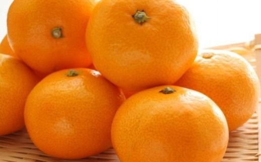 【産直・秀品】和歌山下津みかん約5kg(SサイズまたはMサイズのいずれかをお届け) ★2025年11月中旬頃より順次発送【TM73】 303446_XH071