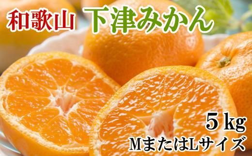 【産直・秀品】和歌山下津みかん約5kg(MサイズまたはLサイズのいずれかをお届け) ★2024年11月中旬頃より順次発送【TM74】 303446_XH072