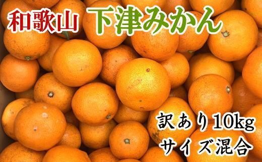 【訳あり】和歌山下津みかん約10kgご家庭用向け(サイズ混合) ★2024年11月中旬頃より順次発送【TM78】 303446_XH073