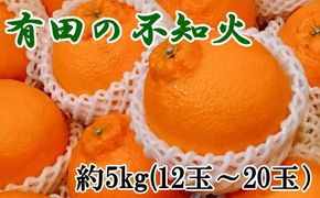 【濃厚】有田の不知火約5kg（12～20玉）★2025年２月上旬頃より順次発送【TM33】 303446_XH074