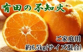 【濃厚】有田の不知火約6.5kgご家庭用向け（サイズ混合）★2025年2月上旬頃より順次発送【TM139】 303446_XH078