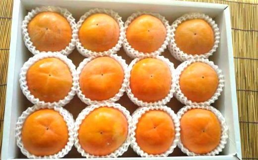 ［厳選・産直］和歌山産の富有柿約4kg（化粧箱入り）（2L～4Lサイズ）★2026年11月中旬頃より順次発送［TM60］ 303446_XH089