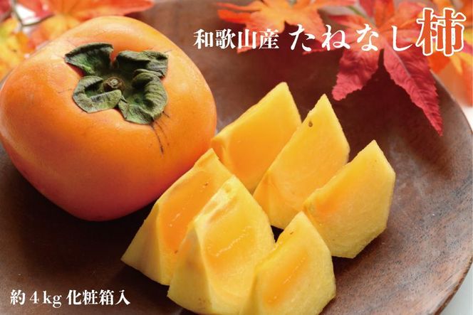 【秋の味覚】和歌山産たねなし柿2L～4Lサイズ約4kg（化粧箱入り）★2026年10月頃より順次発送［TM192］ 303446_XH092
