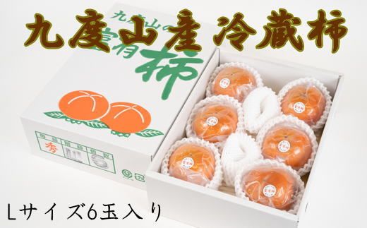 【まごころ栽培】九度山の冷蔵富有柿Lサイズ6玉入り★2025年1月中旬頃より順次発送【TM121】 303446_XH100