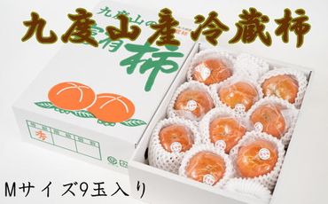 【まごころ栽培】九度山の冷蔵富有柿Mサイズ9玉入り★2025年1月中旬頃より順次発送【TM122】 303446_XH101