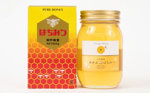 ［純粋国産］和歌山県産みかんはちみつ600g★2026年1月下旬発送［TM55］ 303446_XH102