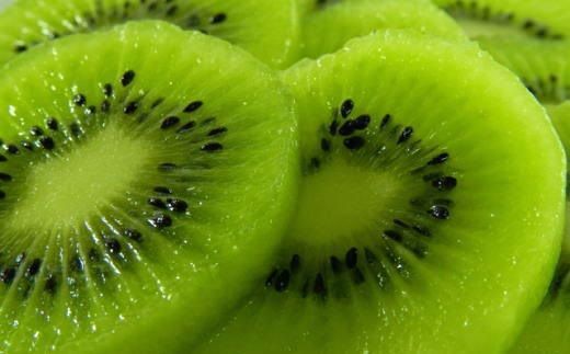 和歌山の下津で採れたキウイフルーツ約3.6kg（玉数おまかせ・秀品）★2026年１月中旬頃より順次発送［TM111］ 303446_XH105