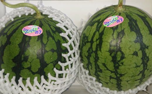 【産地直送】和歌山産小玉すいか「ひとりじめ7(セブン)」2玉入り　3.5kg以上★2026年６月下旬頃より順次発送【TM171】 303446_XH107