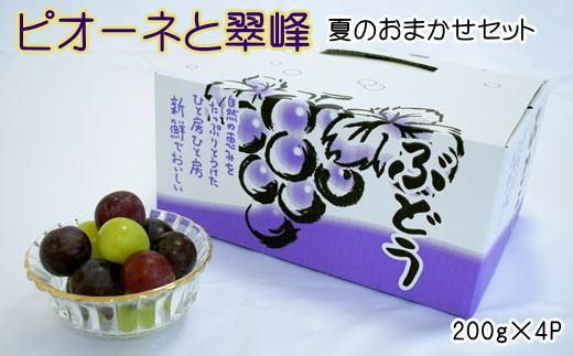 【数量限定】ピオーネと翠峰の夏のおまかせセット約200g×4パック★2025年8月下旬頃より順次発送【TM183】 303446_XH112