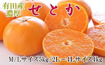 一度は食べていただきたい「有田産のせとか」約4～5kg（サイズおまかせ）★2025年2月中旬頃より順次発送【TM138】 303446_XH92028