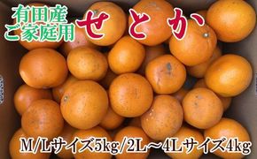 (訳あり・ご家庭用)一度は食べていただきたい「有田産のせとか」約4kg～5kg★2026年２月中旬頃より順次発送［TM210］ 303446_XH92093