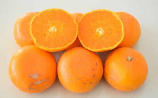 (訳あり・ご家庭用)一度は食べていただきたい「有田産のせとか」約4kg～5kg★2026年２月中旬頃より順次発送［TM210］ 303446_XH92093