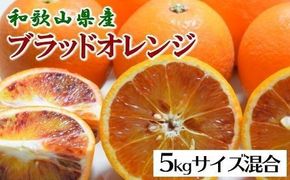 【希少・高級柑橘】国産濃厚ブラッドオレンジ「タロッコ種」約5kg★2025年4月頃より順次発送予定【TM149】 303446_XH92098