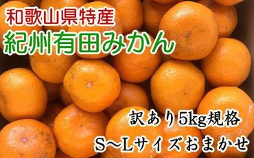 [訳あり]和歌山有田みかん約5kg(S〜Lサイズいずれかお届け)★2024年11月中旬頃より順次発送[TM81] 303446_XH92117