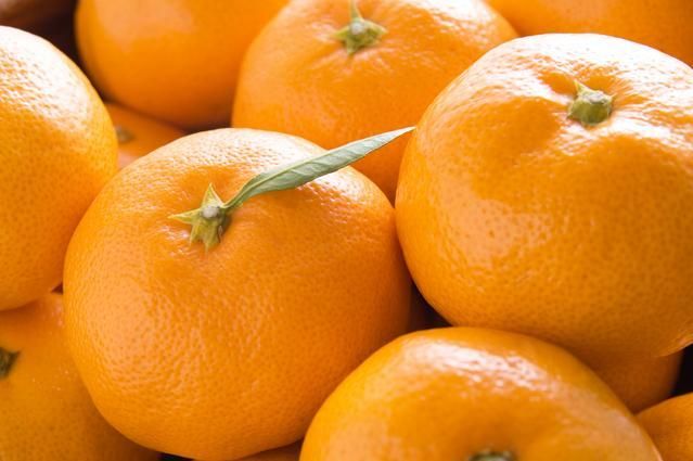 【産直・秀品】和歌山下津みかん約6kg（2Lサイズ）★2025年11月中旬頃より順次発送【TM75】 303446_XH92131