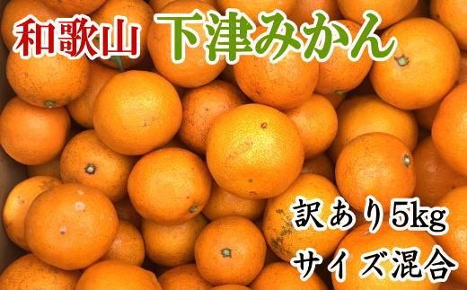 [訳あり]和歌山下津みかん約5kgご家庭用向け(サイズ混合) ★2025年11月中旬頃より順次発送[TM77] 303446_XH92133