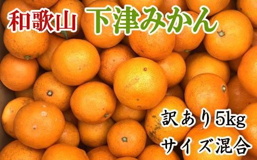 [訳あり]和歌山下津みかん約5kgご家庭用向け(サイズ混合) ★2024年11月中旬頃より順次発送[TM77] 303446_XH92133