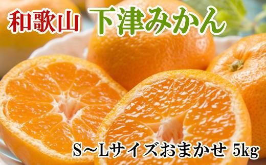 [産直・秀品]和歌山下津みかん約5kg(S〜Lサイズおまかせ)★2025年11月中旬頃より順次発送[TM133] 303446_XH92134