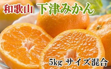 [秀優混合品]和歌山下津みかん約5kg(サイズ混合)★2024年11月中旬頃より順次発送[TM71] 303446_XH92135