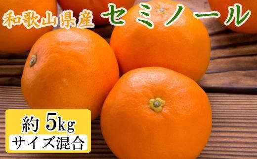 和歌山県産セミノールオレンジ約5kg(サイズ混合 秀品)★2025年4月頃より順次発送[TM146] 303446_XH92141